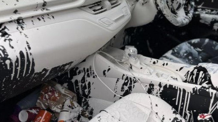The Hog Ring - Car Interior Ruined by After Paint Buckets Explode 1