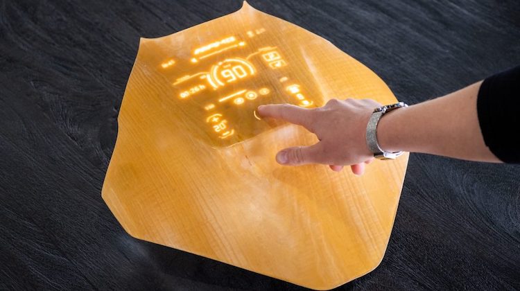 The Hog Ring - Your Next Car Might Include Transparent Wood 2