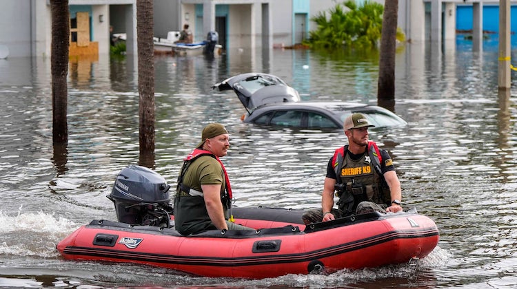 The Hog Ring - Help Trimmers Impacted by Hurricane Milton