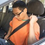 The Hog Ring - Why Seat Belt Reminders are Getting More Annoying