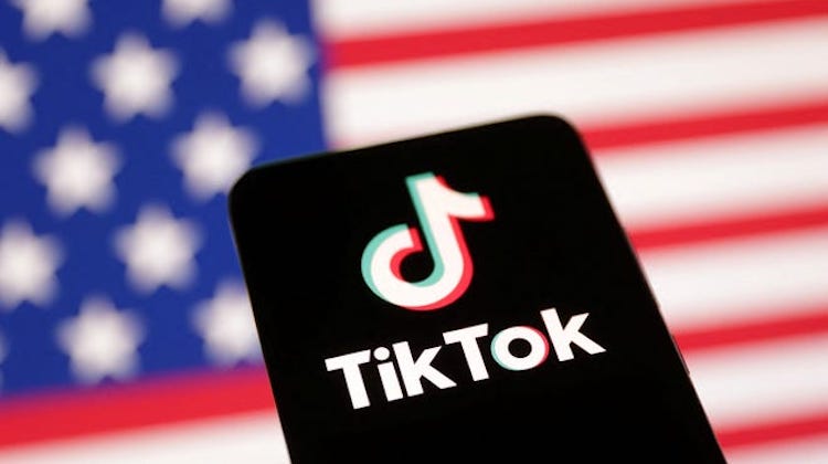 The Hog Ring - 5 Things To Do Before the U.S. Bans TikTok