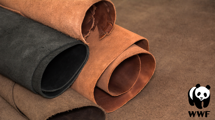 The Hog Ring - WWF Teams Up with Big Brands to Clean Up the Leather Supply Chain