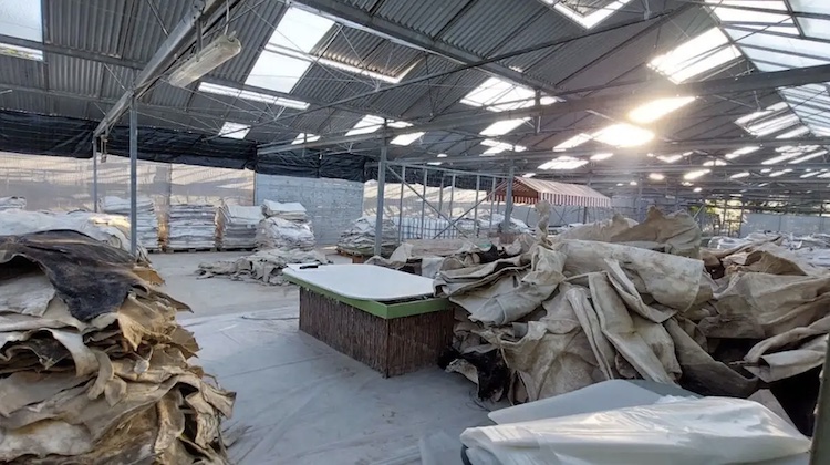 The Hog Ring - Greek Police Busted a Gang Infusing Leather with Cocaine