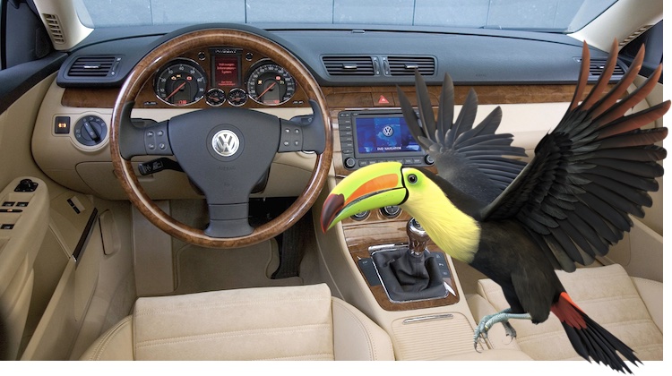 The Hog Ring - Driver Claims He Didn’t Know 14 Toucans Were in His Dashboard