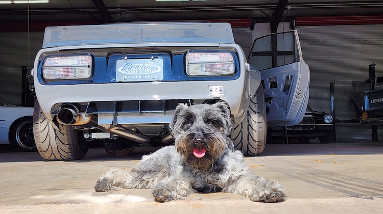 The Hog Ring - Keyston Bros Unveils 2026 Shop Dog Calendar Winners!