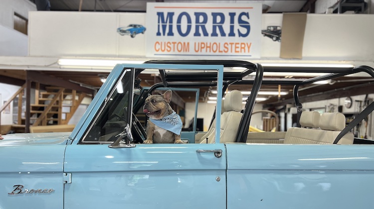 The Hog Ring - Keyston Bros Unveils 2026 Shop Dog Calendar Winners! 2