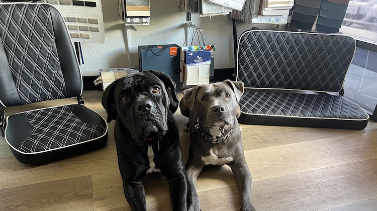 The Hog Ring - Keyston Bros Unveils 2026 Shop Dog Calendar Winners! 3