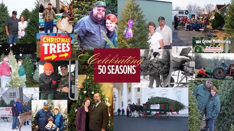 The Hog Ring - These Wisconsin Auto Trimmers Run an Award-Winning Christmas Tree Farm